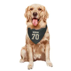 New Orleans Saints Alan Herron Black Pet Bandana for Dog & Cat