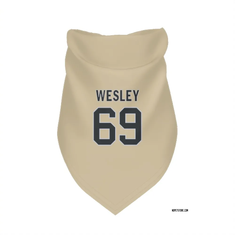 New Orleans Saints Barry Wesley Gold Pet Bandana for Dog & Cat