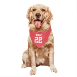 New Orleans Saints Beanie Bishop Pink Pet Bandana for Dog & Cat