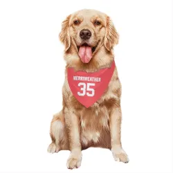 New Orleans Saints Ellis Merriweather Pink Pet Bandana for Dog & Cat