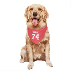 New Orleans Saints James Hurst Pink Pet Bandana for Dog & Cat