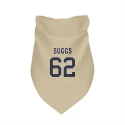 New Orleans Saints Jay'viar Suggs Gold Pet Bandana for Dog & Cat