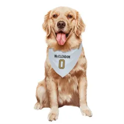 New Orleans Saints Jeremiah McClendon White Gold Pet Bandana for Dog & Cat