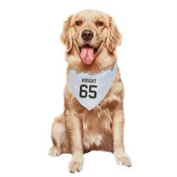 New Orleans Saints Jeremiah Wright White Pet Bandana for Dog & Cat