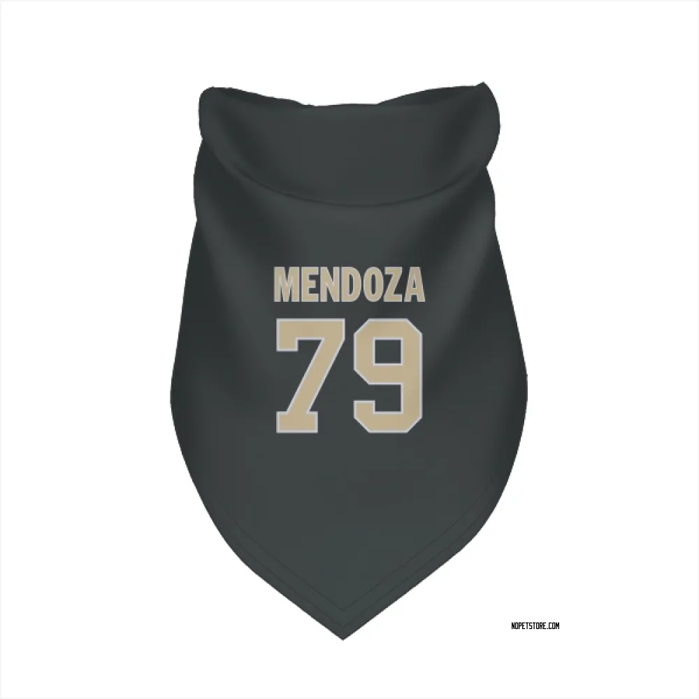 New Orleans Saints Jonathan Mendoza Black Pet Bandana for Dog & Cat