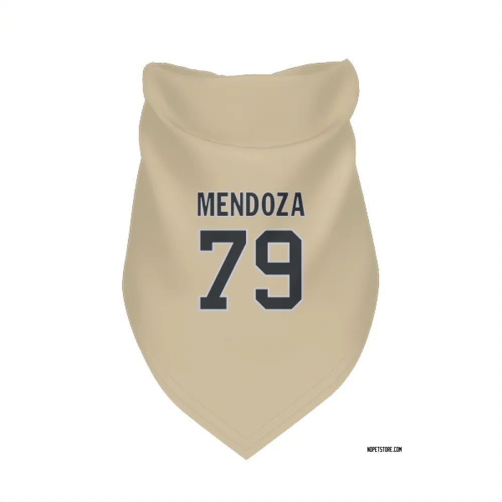 New Orleans Saints Jonathan Mendoza Gold Pet Bandana for Dog & Cat