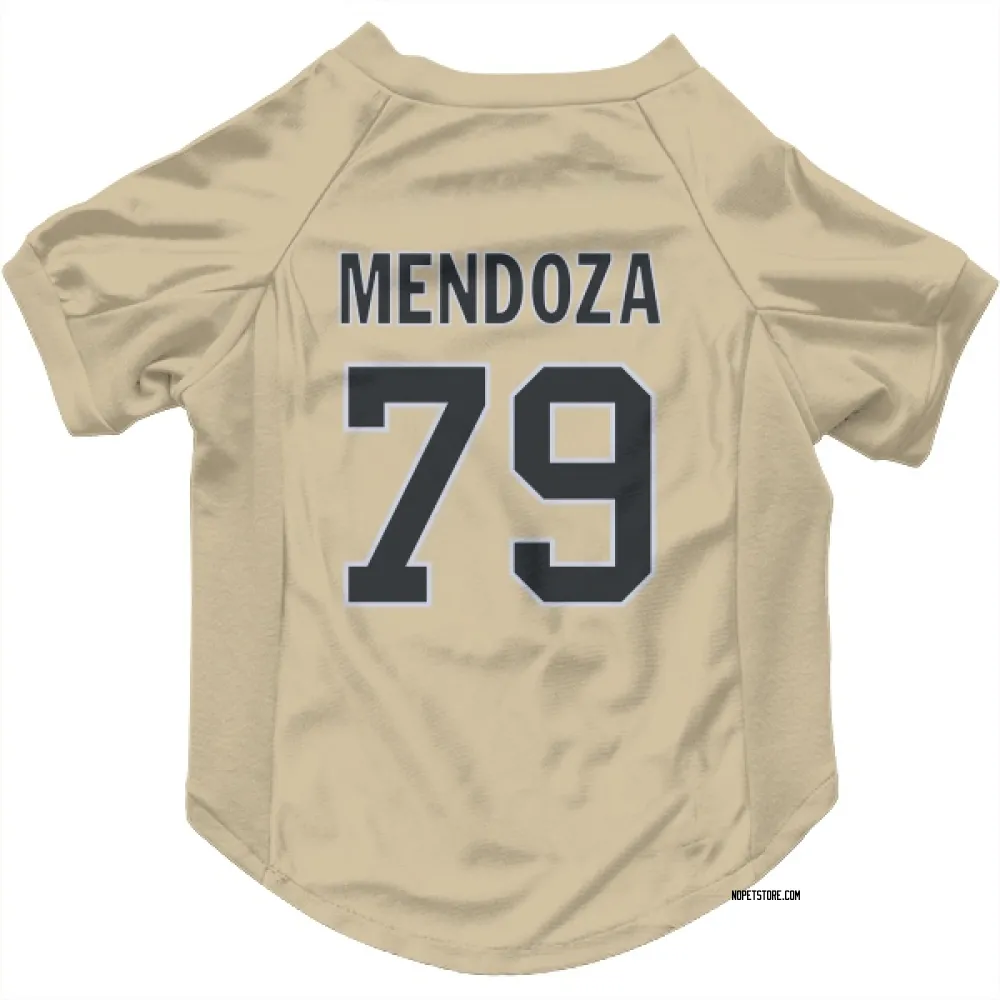 New Orleans Saints Jonathan Mendoza Gold Pet Jersey for Dog & Cat