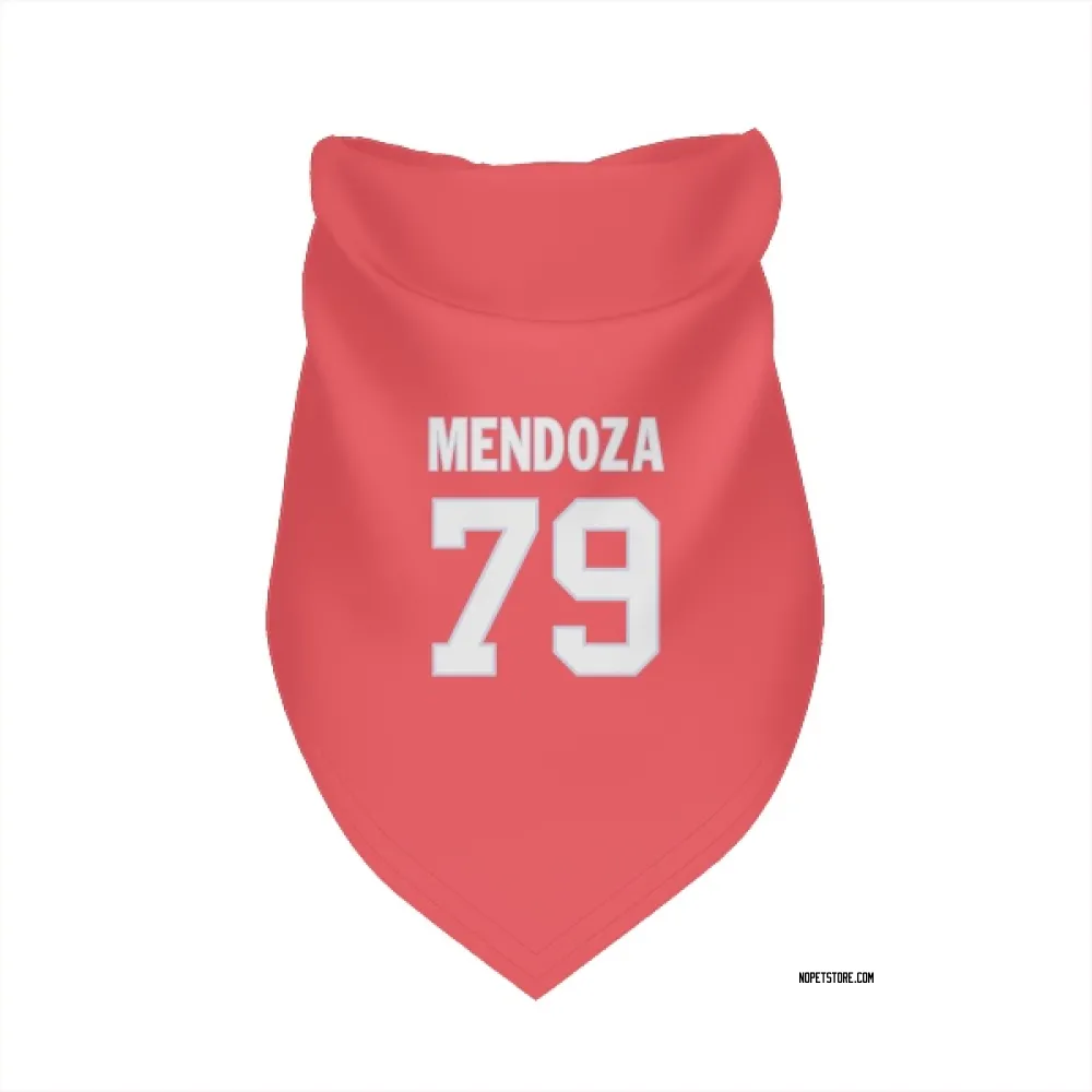 New Orleans Saints Jonathan Mendoza Pink Pet Bandana for Dog & Cat