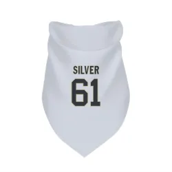 New Orleans Saints Keeshawn Silver White Pet Bandana for Dog & Cat