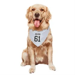 New Orleans Saints Keeshawn Silver White Pet Bandana for Dog & Cat