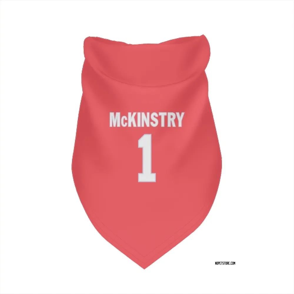 New Orleans Saints Kool-Aid McKinstry Pink Pet Bandana for Dog & Cat
