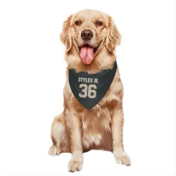 New Orleans Saints Lorenzo Styles Jr. Black Pet Bandana for Dog & Cat