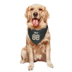 New Orleans Saints Oscar Delp Black Pet Bandana for Dog & Cat