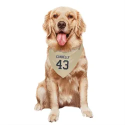 New Orleans Saints Ryan Connelly Gold Pet Bandana for Dog & Cat