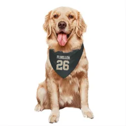 New Orleans Saints Travion Fluellen Black Pet Bandana for Dog & Cat